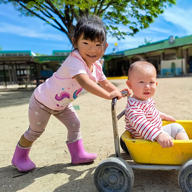 入園案内